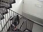 zum Video der Station 4